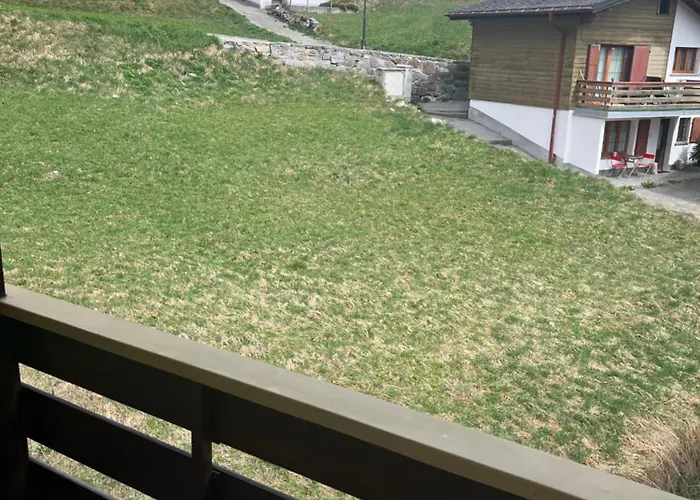 Annelisestudio アパート ロイカーバード